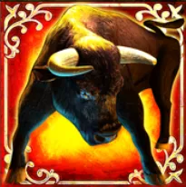 Stier Scatter